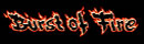 Burst  Of Fire