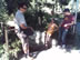 waiting_for_the_sun.jpg (210kb)