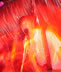 scream_nico.jpg (60kb)