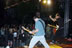 freezeebee010.jpg (30kb)