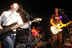 freezeebee028.jpg (33kb)